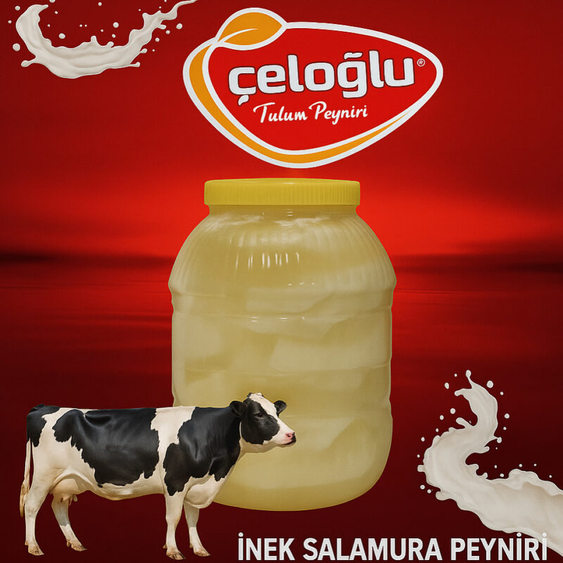 8F5F2849 7E15 456D 9239 256A288F4B86 3